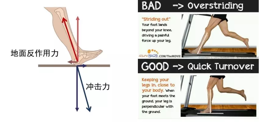 XPJ·(中国区)官方网站