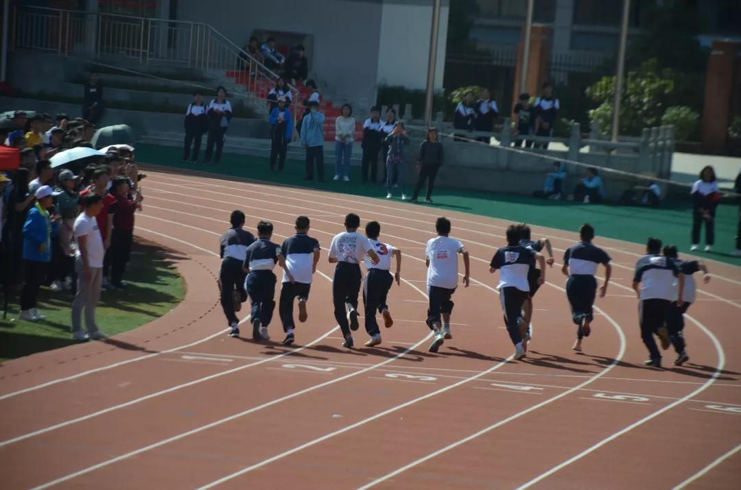 XPJ·(中国区)官方网站