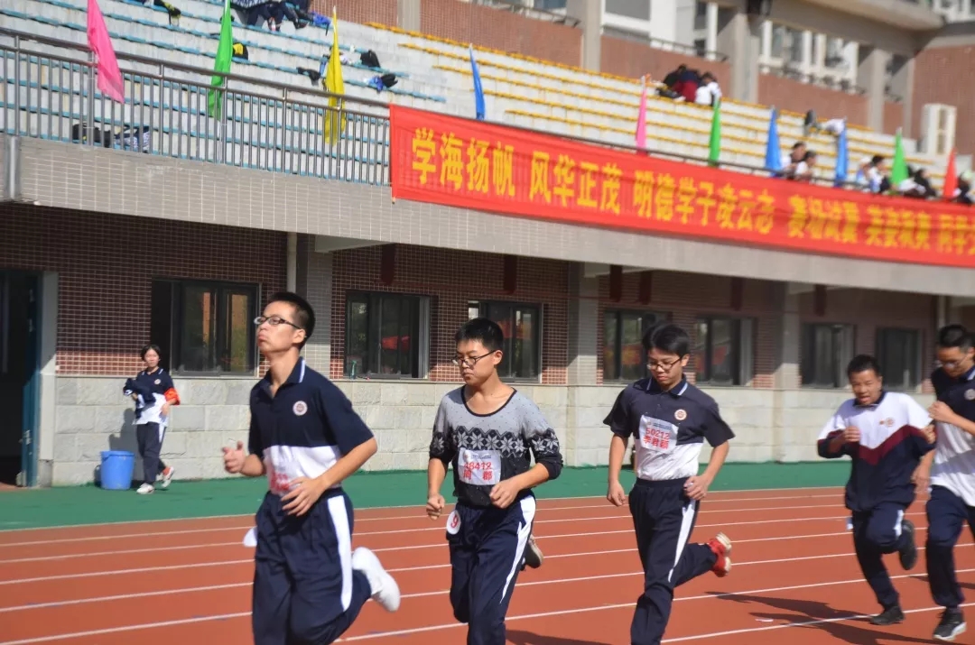 XPJ·(中国区)官方网站